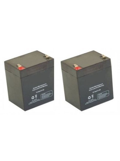 M12-5.0 12Volts 5.0 Ah 2 Pcs