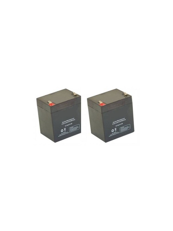 M12-5.0 12Volts 5.0 Ah 2 Pcs