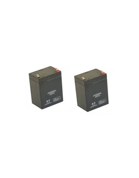 M12-2.9 12Volts 2.9 Ah 2 Pcs