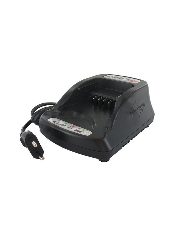 Chargeur Robot BRIGGS & STRATTON
