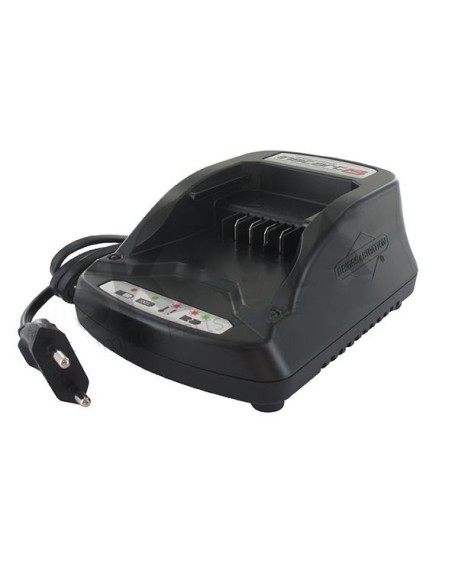 Chargeur Robot BRIGGS & STRATTON