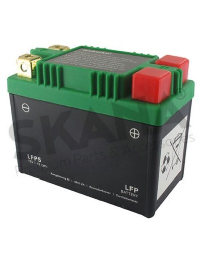 LFP5 12V8A+/-