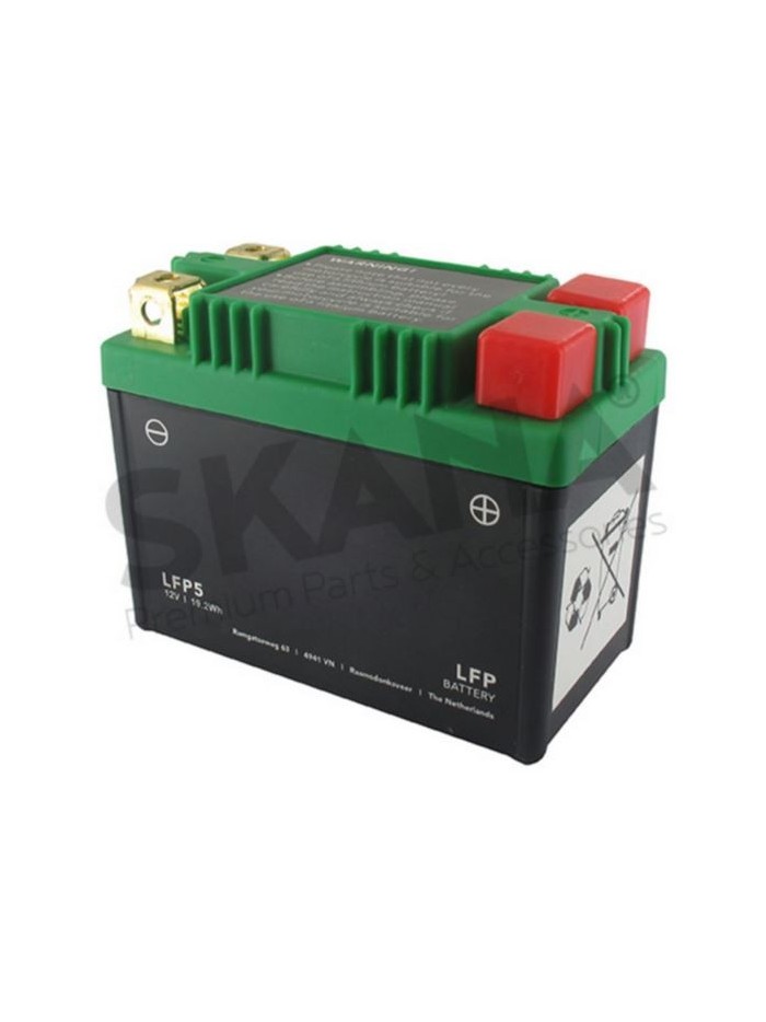LFP5 12V8A+/-