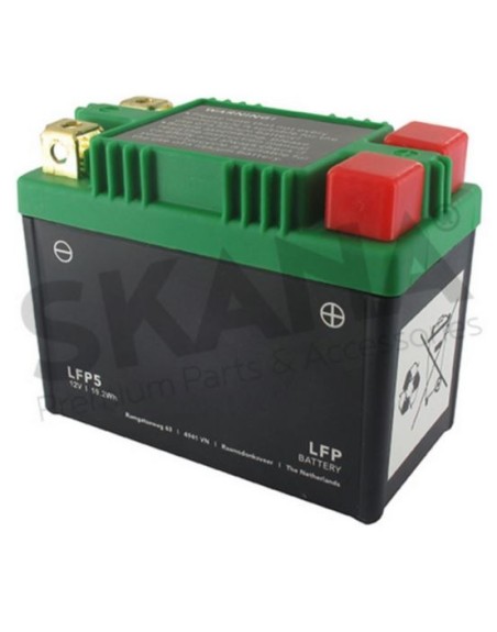 LFP5 12V8A+/-