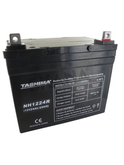 NH1224R 12V24A+D