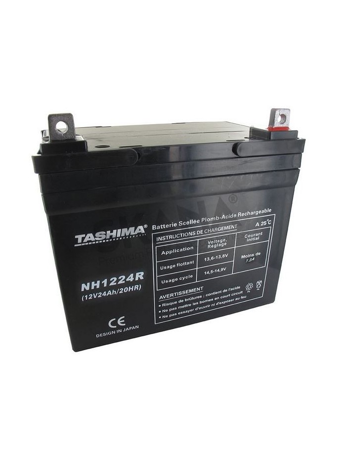 NH1224R 12V24A+D