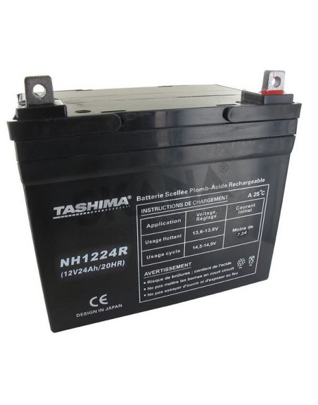NH1224R 12V24A+D