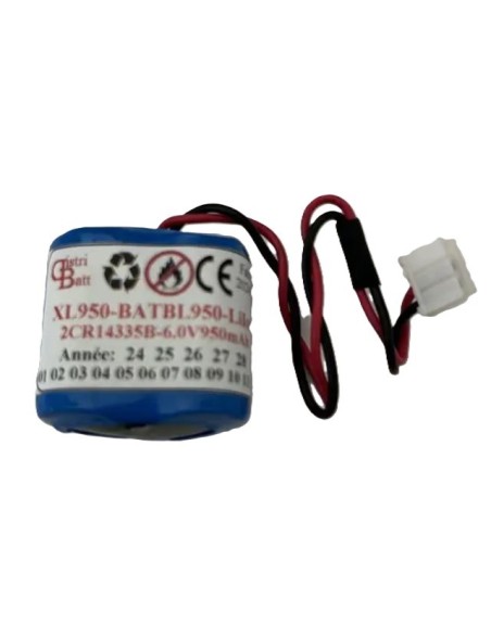 BATBL950 LABEL CESAR