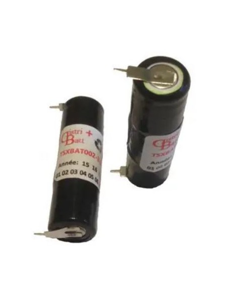 TSXBAT002 3.6 Volts 350 mAh T2