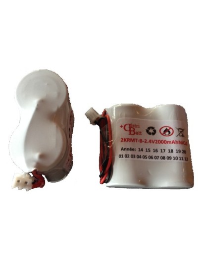 2VTCs-2KRMT2343 2.4V 1600 mAh NiCd HT