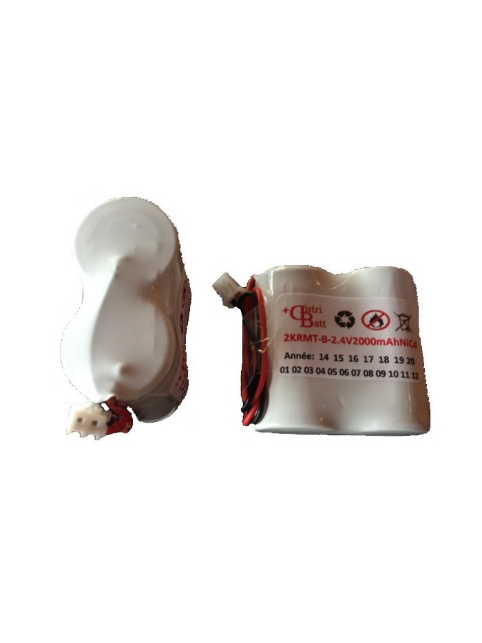 2VTCs-2KRMT2343 2.4V 1600 mAh NiCd HT