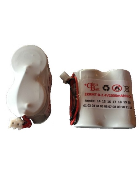 2VTCs-2KRMT2343 2.4V 1600 mAh NiCd HT