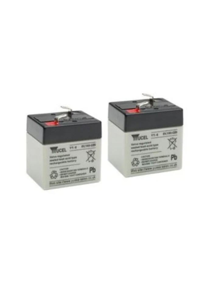 6.0 Volts 1.0Ah Pack 2 pcs Plomb